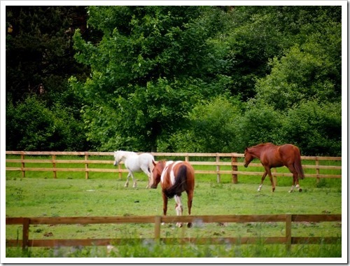 15 June 14 12-06-2013 16-15-24