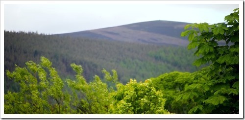 15 June 30 12-06-2013 16-28-03