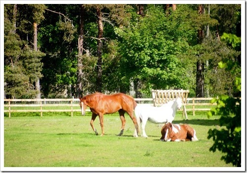 14 June 2 14-06-2013 07-59-14