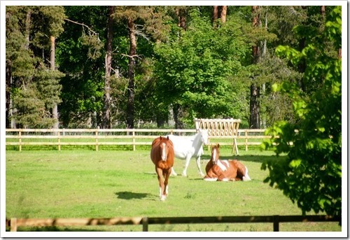 14 June 3 14-06-2013 07-59-24