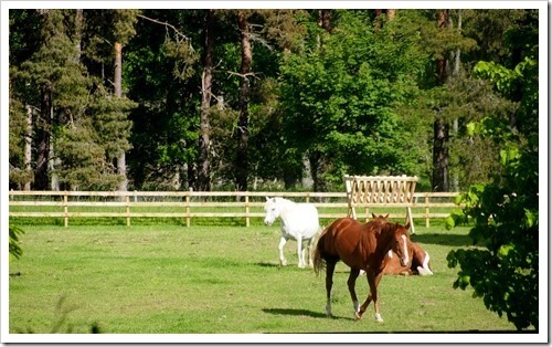 14 June 5 14-06-2013 07-59-27