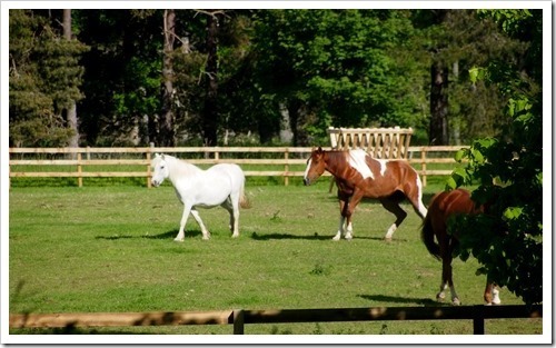 14 June 6 14-06-2013 07-59-29