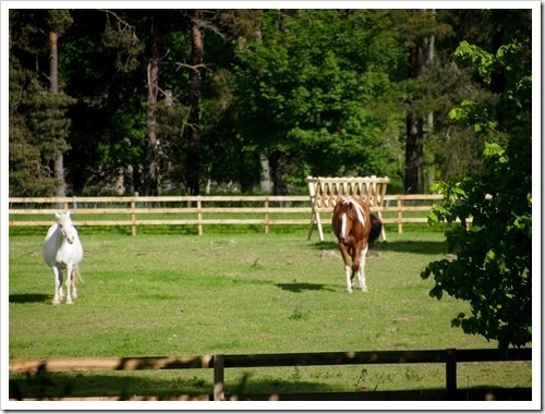 14 June 8 14-06-2013 07-59-35