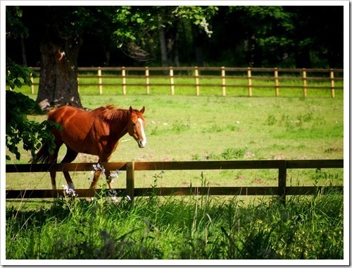 14 June 9 14-06-2013 07-59-43