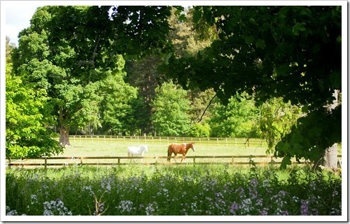 14 June 10 14-06-2013 08-00-08