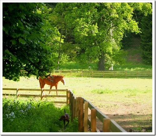 14 June 10 14-06-2013 08-00-17