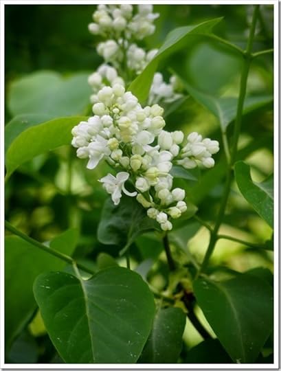 13 June 1 13-06-2013 11-20-26