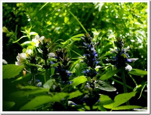 13 June 3 13-06-2013 11-22-56