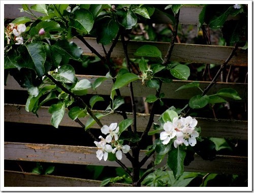 13 June 5 13-06-2013 11-28-58