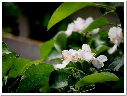 13 June 7 13-06-2013 11-29-11