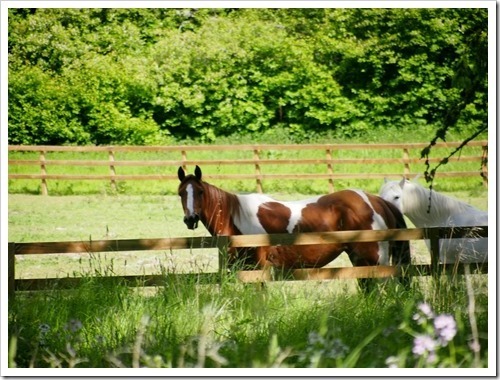 13 June 10 13-06-2013 09-36-07