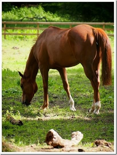 13 June 11 13-06-2013 09-37-11