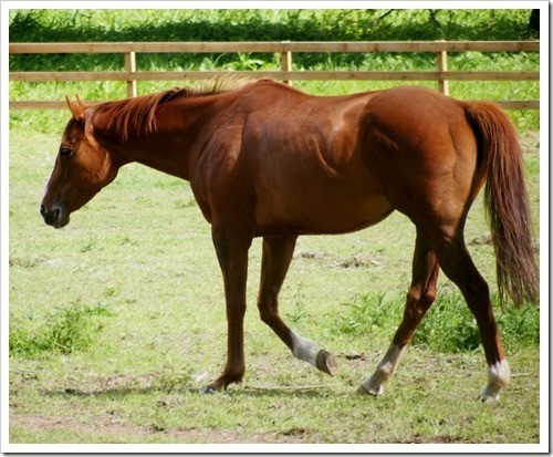 13 June 14 13-06-2013 09-37-35