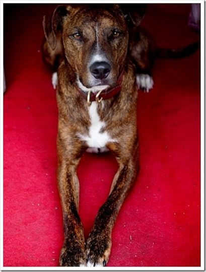 13 June 14 13-06-2013 11-31-03