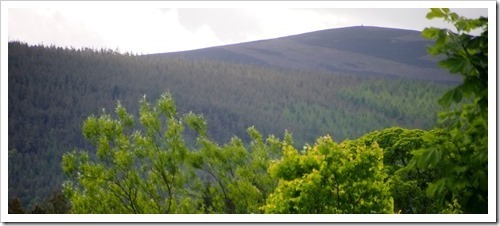 13 June 20 13-06-2013 11-31-18