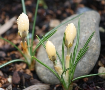 Post image for Celebrity Meltdown and Linky Love