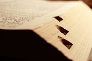 Dictionary New Words