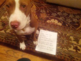 Click to embiggen Marlowe's report card for today.