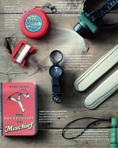 THE POCKET GUIDE TO MISCHIEF in the Restoration Hardware Gifts catalog. by Bart King