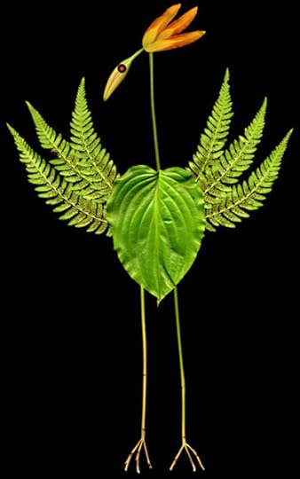 Preschool Activities Homeschool Ideas Pre K activity Pin it! Scavenger Hunt Plant Collage