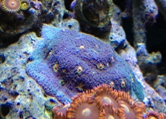 13E27 Miami Hurricanes