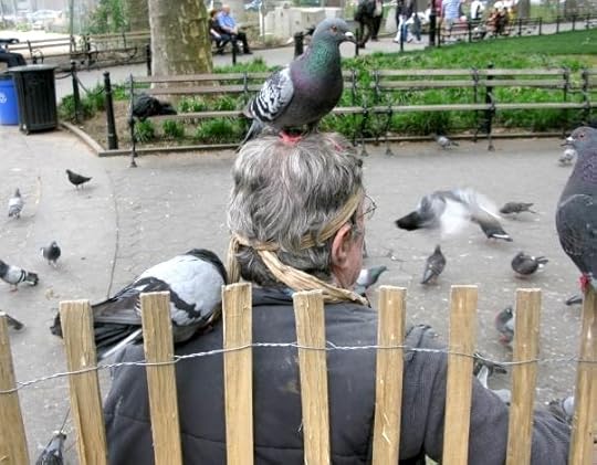 Feeding Pigeons, Washington Square Park, New York City