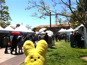  photo IMG_2956_zpsc7a0aca0.jpg