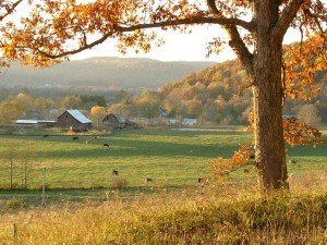 OhioFall