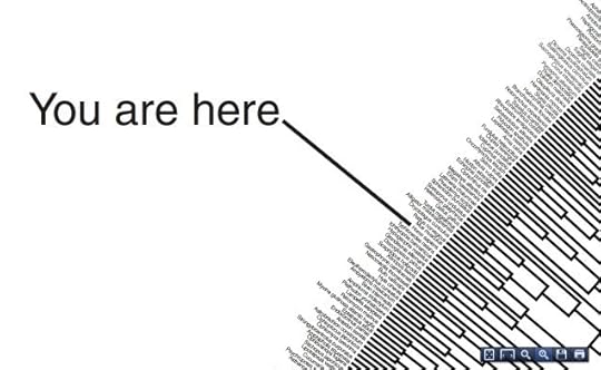 Phylogenetics close up