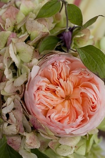 Beekman Wedding-Paulette Tavormina 961