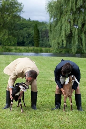 Beekman Wedding-Paulette Tavormina 751