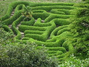 labyrinth1