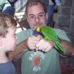 Feeding the Lorikeet at the Aquarium