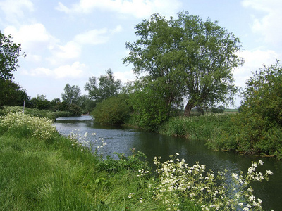 grantchester_meadow