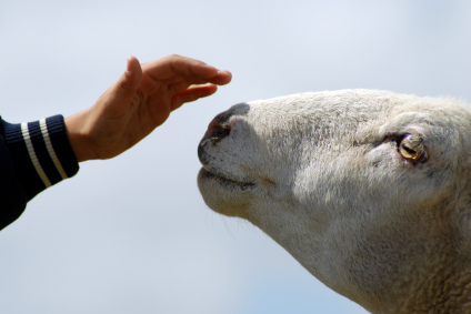 iStock_000003700175XSmall