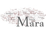 Wordle: Wordle for MASKS, new fantasy novel by E.C. Blake