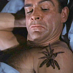 Dr No spider