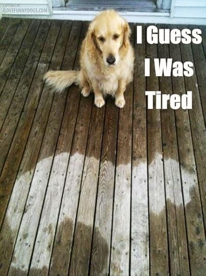 fridog