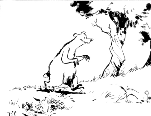 Inktober 10th: Bear in th Woods