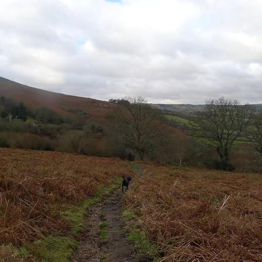 Running down that hill