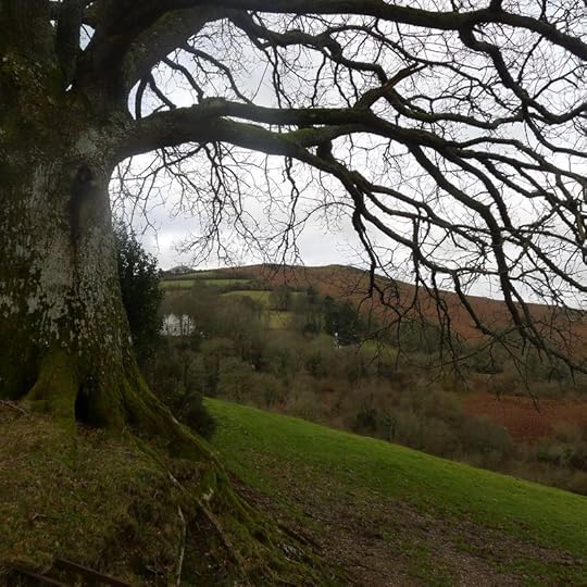 Under the oak