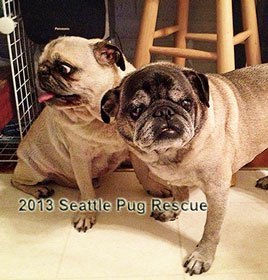 Otis and Jack