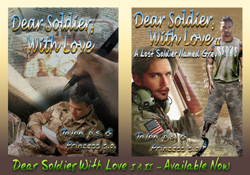 DSWL series poster copy