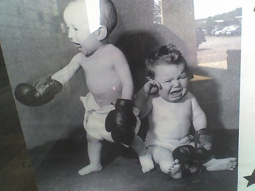 babies boxing