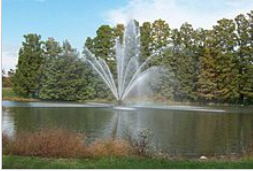 Forest Park