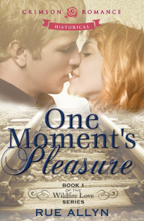 Cover art for One Moment's Pleasure ~ Wildfire Love # 1