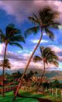 Hawaii2
