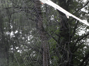 SAMSUNG DIGITAL CAMERA