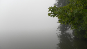 SAMSUNG DIGITAL CAMERA