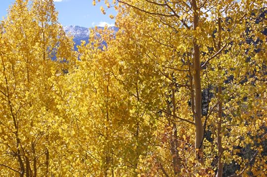 Leadville, CO via Mike McDonald